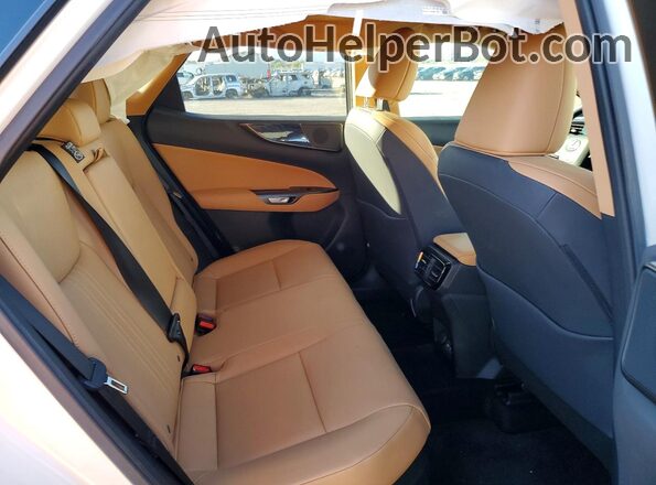 JTJGKCEZ5S2040743 2025 LEXUS NX Белый Вид задней части салона