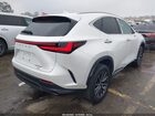 2023 Lexus Nx 350h Premium White vin: JTJGKCEZ9P2014668