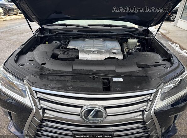 JTJHY7AX2H4242774 2017 LEXUS LX Blue Widok z tyłu