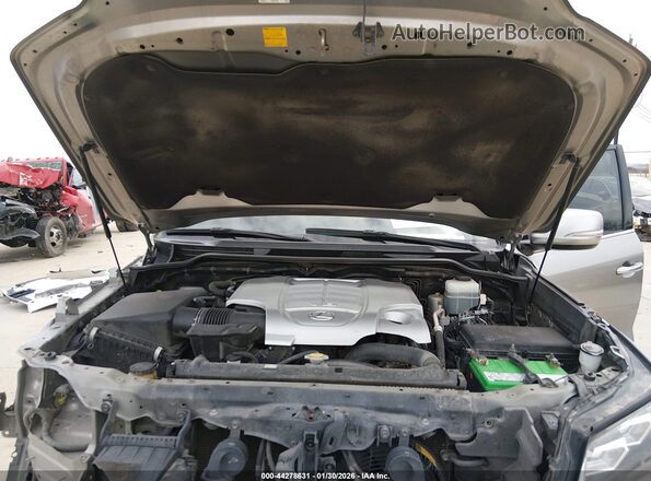 JTJHY7AX8G4199718 2016 LEXUS LX 570 Gray Widok z tyłu