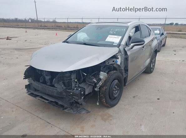 JTJSARBZ4L2171698 2020 LEXUS NX 300 Silver Vista frontal