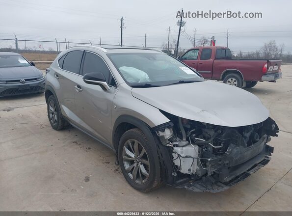 JTJSARBZ4L2171698 2020 LEXUS NX 300 Silver Delantero derecho