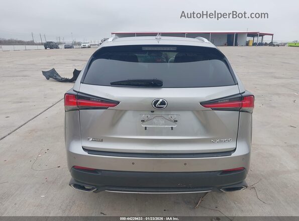 JTJSARBZ4L2171698 2020 LEXUS NX 300 Silver 