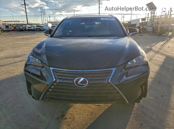 JTJSARDZXL5010283 2020 LEXUS NX Black Widok z przodu