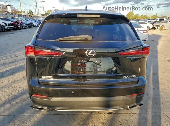 JTJSARDZXL5010283 2020 LEXUS NX Black Widok z tyłu