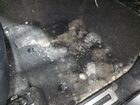 2025 Lexus Gx 550 Premium/premium+ Серый vin: JTJTBCDX3S5059384 Damage: Right Front Carpet, Stained, Permanent