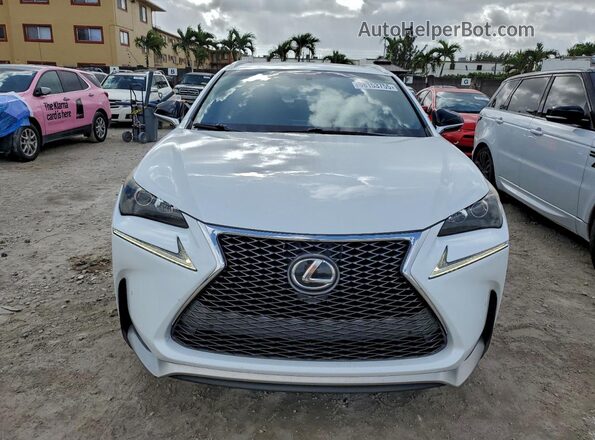 JTJYARBZ3G2026734 2016 LEXUS NX Белый Вид спереди