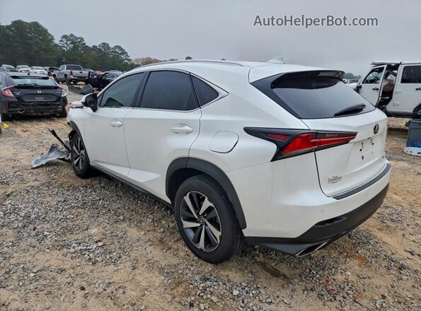 JTJYARBZ7J2106299 2018 LEXUS NX Белый Задняя левая четверть
