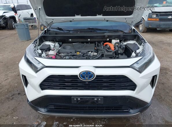 JTME6RFV4PD536223 2023 TOYOTA RAV4 HYBRID White Widok z tyłu