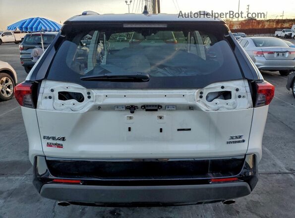 JTMEWRFV1KD504726 2019 TOYOTA RAV4 Белый Вид сзади