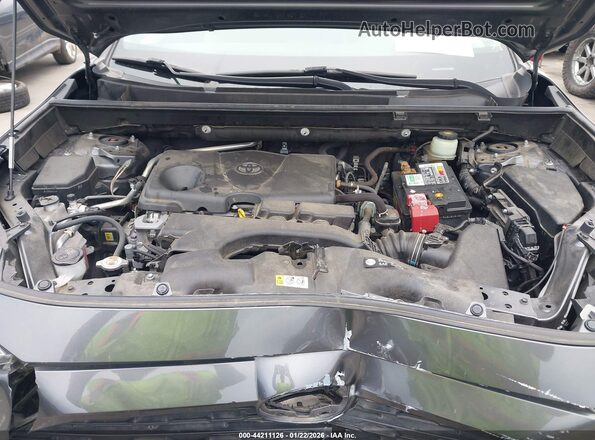 JTMW1RFV5KD028774 2019 TOYOTA LE Gray Widok z tyłu