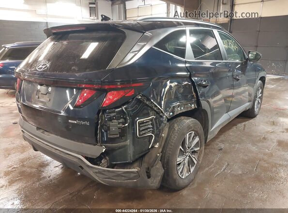 KM8JBCD13RU215540 2024 HYUNDAI TUCSON HYBRID Dark Blue Задняя правая четверть