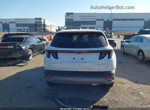 KM8JEDD13SU336443 2025 HYUNDAI TUCSON HYBRID Бежевый 