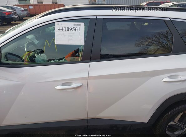 KM8JFCA18PU128478 2023 HYUNDAI TUCSON HYBRID Белый Панорамный вид салона 360°