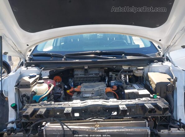 KM8KNDAF6PU189417 2023 HYUNDAI IONIQ 5 Белый Вид сзади
