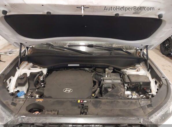 KM8R2DHE1LU150474 2020 HYUNDAI PALISADE Белый Вид сзади