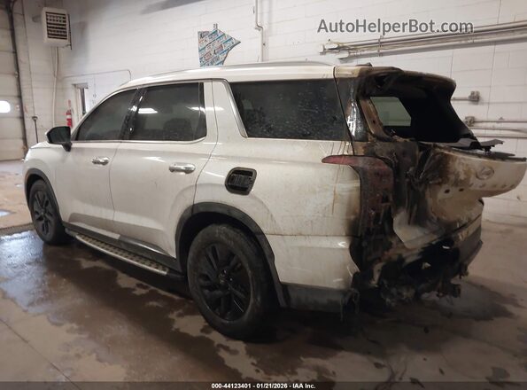 KM8R2DHE1LU150474 2020 HYUNDAI PALISADE Белый Задняя левая четверть