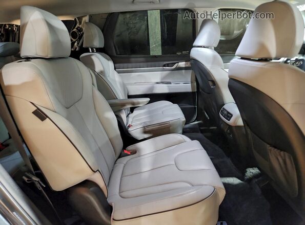 KM8R44GE9RU700573 2024 HYUNDAI PALISADE Серый Вид задних сидений