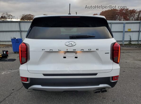 KM8R4DHE3LU117096 2020 HYUNDAI PALISADE Белый Вид сзади
