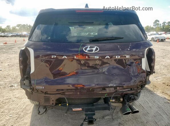 KM8R54HE5LU166877 2020 HYUNDAI PALISADE Темно-бордовый Вид сзади