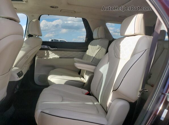 KM8R54HE5LU166877 2020 HYUNDAI PALISADE Темно-бордовый Вид задней части салона