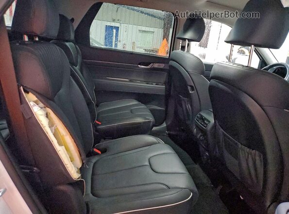 KM8R5DGE3RU664392 2024 HYUNDAI PALISADE Белый Вид задней части салона