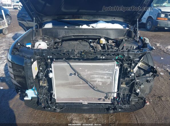 KM8RMES29TU057278 2026 HYUNDAI PALISADE Purple Widok z tyłu
