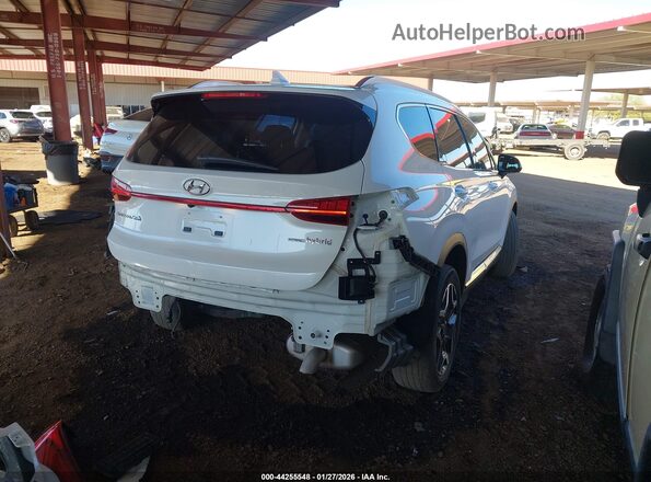 KM8S5DA13NU035281 2022 HYUNDAI SANTA FE HYBRID White Задня права чверть