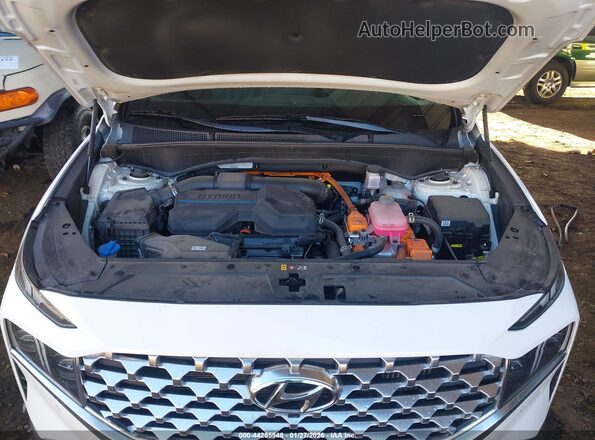 KM8S5DA13NU035281 2022 HYUNDAI SANTA FE HYBRID White Вид ззаду