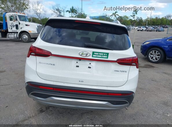 KM8S5DA17NU054495 2022 HYUNDAI SANTA FE HYBRID White 