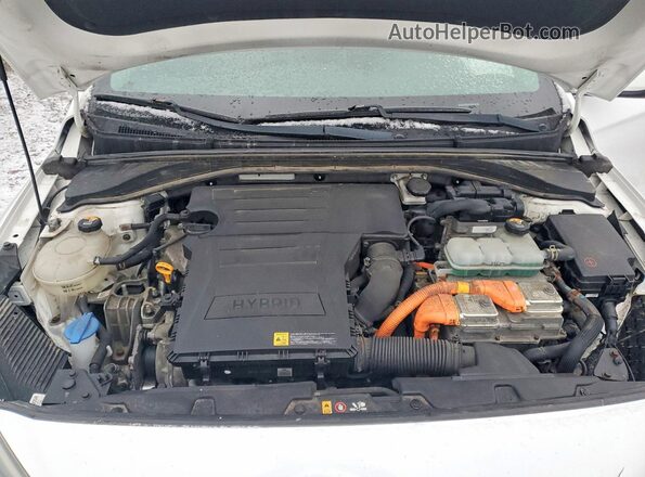 KMHC05LCXJU066349 2018 HYUNDAI IONIQ Белый Вид задней части салона