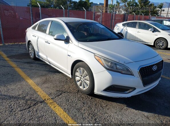 KMHE24L16GA012357 2016 HYUNDAI SONATA HYBRID Белый Передняя правая четверть