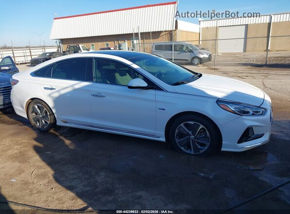 KMHE34L39KA093197 2019 HYUNDAI SONATA HYBRID Белый Вид задней части салона