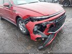 2025 Hyundai Sonata Se Red vin: KMHL24JA2SA481187 2025 Hyundai Sonata Se Red vin: KMHL24JA2SA481187