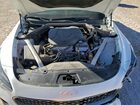 2023 Kia Stinger Gt Line Белый vin: KNAE35LD4P6133938