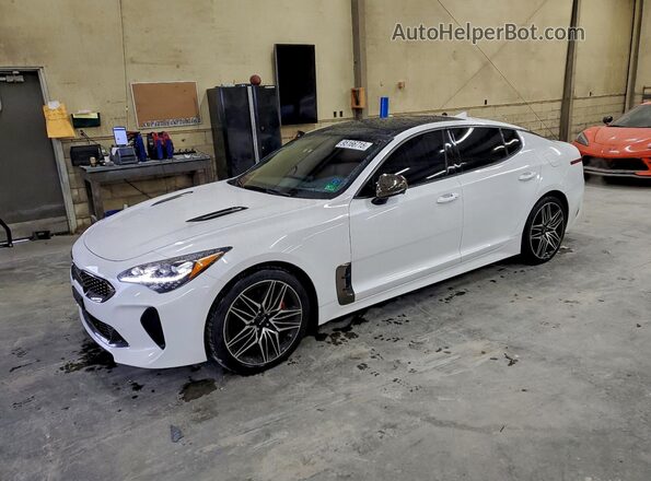 KNAE55LC3P6130059 2023 KIA STINGER Белый Передняя левая четверть