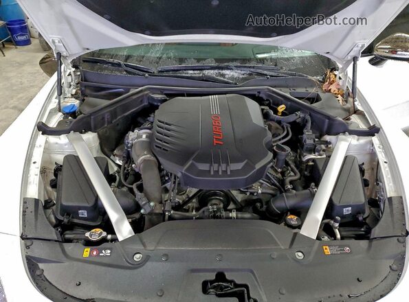 KNAE55LC3P6130059 2023 KIA STINGER Белый Вид задней части салона