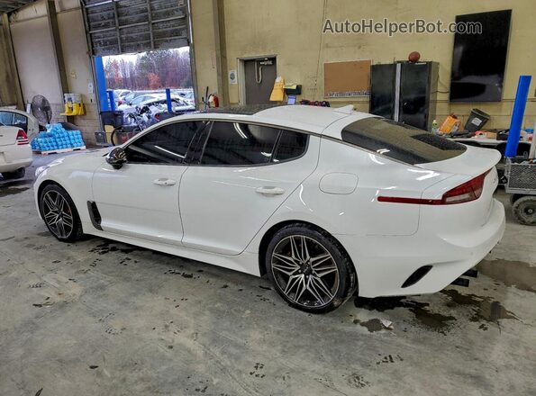 KNAE55LC3P6130059 2023 KIA STINGER Белый Задняя левая четверть
