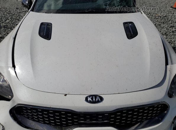 KNAE55LC5M6096749 2021 KIA STINGER Белый Вид задней части салона