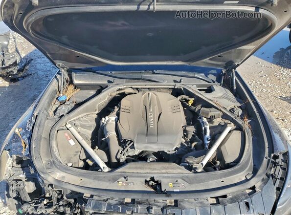 KNAS34J62K6009922 2019 KIA K900 Угольный Вид задней части салона