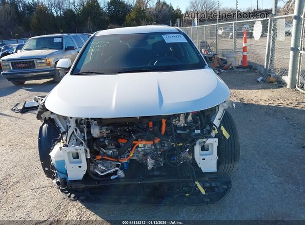 KNDCP3LE8S5304619 2025 KIA NIRO Белый Вид задней части салона