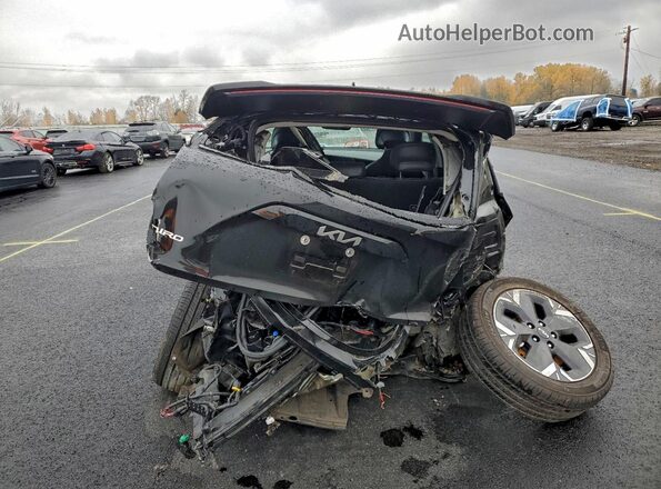 KNDCT3L13R5120496 2024 KIA NIRO Черный Вид сзади