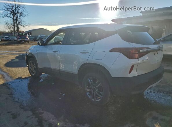 KNDEPCAA0M7192480 2021 KIA SELTOS Белый Задняя левая четверть