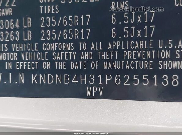 KNDNB4H31P6255138 2023 KIA CARNIVAL MPV Серебряный Вид подкапотного пространства