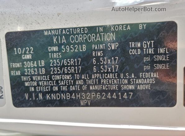 KNDNB4H32P6244147 2023 KIA CARNIVAL Белый Панорамный вид салона 360°