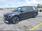 2026 Kia Carnival Mpv Hybrid Lxs Black vin: KNDNB5KAXT6129089