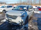 2024 Kia Carnival Mpv Sx Серый vin: KNDNE5H31R6304192