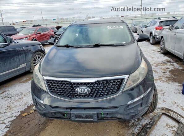 KNDPB3AC1G7817918 2016 KIA SPORTAGE Черный Вид спереди