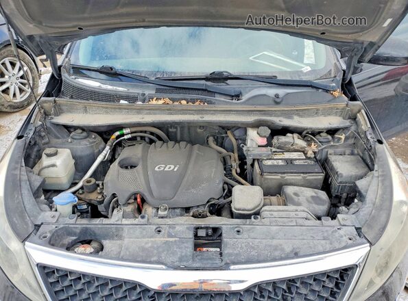 KNDPB3AC1G7817918 2016 KIA SPORTAGE Черный Вид задней части салона