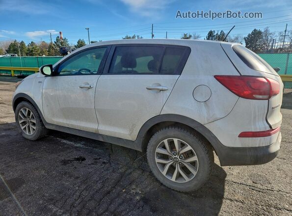 KNDPBCAC3G7864335 2016 KIA SPORTAGE Белый Задняя левая четверть